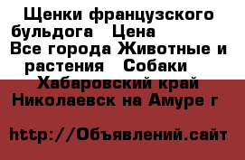 Щенки французского бульдога › Цена ­ 30 000 - Все города Животные и растения » Собаки   . Хабаровский край,Николаевск-на-Амуре г.